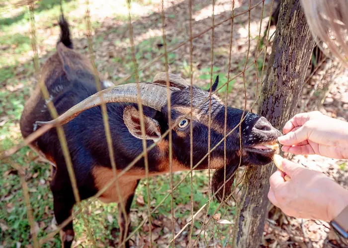 Lemonade Acres, Country Charm Made Convenient!